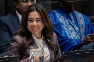 Lana Nusseibeh 
