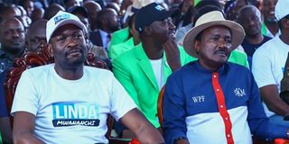 kalonzo heckled sifuna 