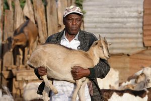 Simon Ng’ang’a Wamsey 