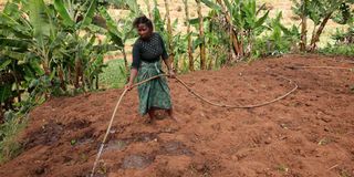 Veronicah Mwende