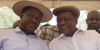 Raila Odinga and Oburu Oginga